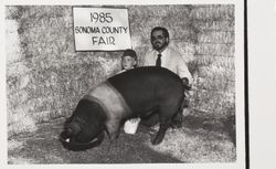 Drew Porter and his 4H Reserve Grand Champion hog at the Sonoma County Fair, Santa Rosa, California, 1985