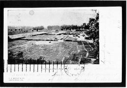 Fruit drying in Santa Rosa