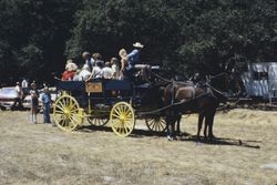 Horse-drawn wagon at the Gravenstein Apple Fair in Ragle Ranch Regional Park, Aug. 6, 1979