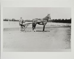 Frank D. McGregor with his trotter at the Sonoma County Fairgrounds