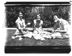 Three women sitting on the lawn with baby chicks, Petaluma, California, about 1930