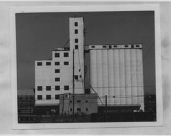 Poultry Producers of Central California feed mill, Petaluma, California, about 1949