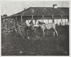 Carrillo Adobe, Santa Rosa, California, between 1870 and 1880