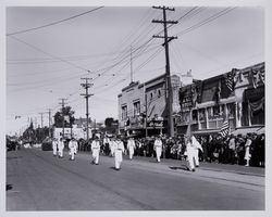 Boy Scouts marching in a Veterans Day Parade, Sebastopol