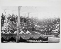 Apple Show, Sebastopol, California