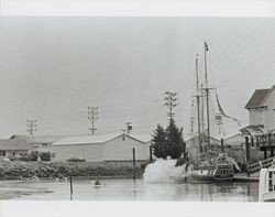 Schooner "Witch of Wood" fires her cannons at the Old Adobe and Petaluma River Festival of 1986