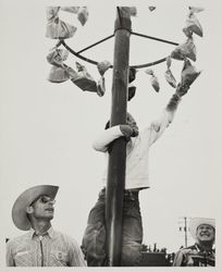 Greased candy pole on Farmers' Day at the Sonoma County Fair, Santa Rosa, California, July 21, 1958