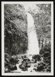 View of Whitney Falls on Sonoma Mountain