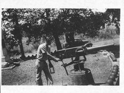 G A R Monument at Rural Cemetery, Santa Rosa, California, 1939