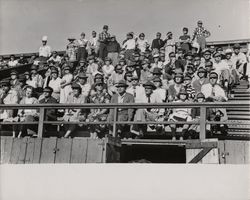 Spectators at Petaluma Leghorn game against San Diego