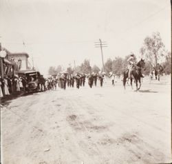 Unidentified bands in a Santa Rosa parade