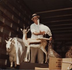 Richard Lucier designs African Odyssey show at the Hall of Flowers at the Sonoma County Fair, Santa Rosa, California, 2000