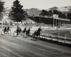 Harness racing at the Sonoma County Fair Racetrack at the Sonoma County Fair Racetrack, Santa Rosa, California