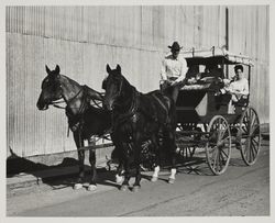 Carriage charter at the Sonoma County Fair, Santa Rosa, California