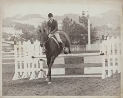 Dressage at the Beck Arena at the Sonoma County Fair, Santa Rosa, California