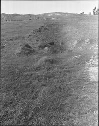 Remains of Roblar Gold Mine and surrounding area., Petaluma, California, 1967