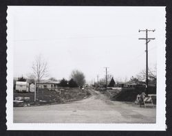 Looking east into Blue Bell Dr. from Coffey Lane