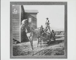 Old Buck at Walden's Geyser Peak Winery, Geyserville, California, 1903