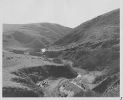 Bodega Highway east of Bodega Bay, about 1949