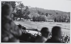 Grandstand spectators view race track at the Sonoma County Fair, Santa Rosa, California, photographed between 1960 and 1970