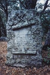 Tombstones at Faught Cemetery