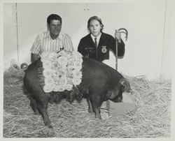Jeff Holtzen and his FFA Champion hog at the Sonoma County Fair, Santa Rosa, California