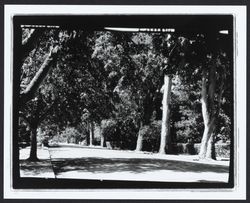 McDonald Avenue, Santa Rosa, California, 1970