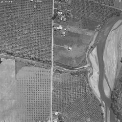 Orchards near intersection of Foss Creek and Dry Creek--aerial views