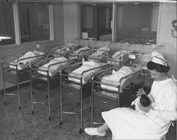 Infants in their bassinets at Petaluma District Hospital, Petaluma, California, 1956