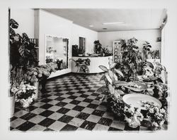 Interior of Quality Florists, Santa Rosa, California, 1960