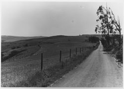 Unidentified dirt road in Sonoma County, California