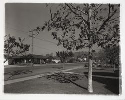 Street in the Montgomery Village area, Santa Rosa, California, 1960