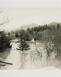 Flooding along Russian River, Guerneville, California, March 1940