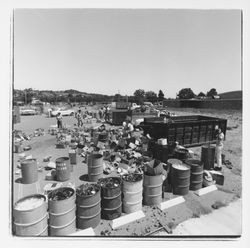 Glass sorting barrels at the Recycling Center, Santa Rosa, California, 1971