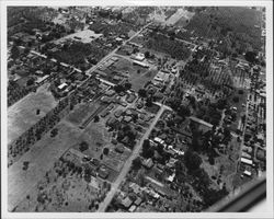 Aerial view of Dry Creek Valley(?), California orchards and fields, 1955