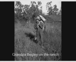 Walter Begley on his ranch in Round Valley, Mendocino County, California, about 1940