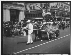 Horse drawn float in the Rose Parade