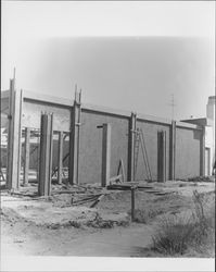 Erecting the new Argus Courier building, Petaluma, California, 1966