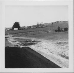 View of the countryside from the balcony of the Petaluma Adobe, Petaluma, California, 1961