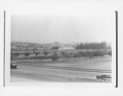 Racetrack at the Fair Grounds, Santa Rosa, California, 1956