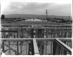 Unidentified building under construction in Petaluma, California, 1955