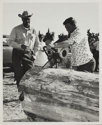 Buck Christopher saws a large log on Farmers' Day at the Sonoma County Fair, Santa Rosa, California, July 19, 1964