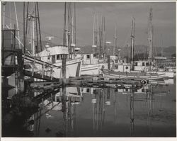 View of the fishing fleet docked in Bodega Bay Harbor, Westshore Road, Bodega Bay, California, 1970s