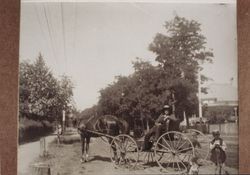 Horse, buggy and rider in Healdsburg