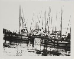 Fishing boats tied at dock in Bodega Bay