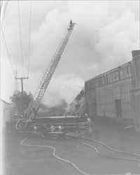 Nulaid alfalfa fire, Petaluma, California, August 21, 1960