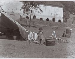 Young girl at her hop picking camp site near Wohler Road, Healdsburg, California, in the 1920s