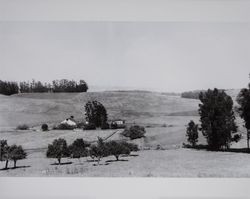 Volkerts ranch and dairy, Two Rock, California, looking east, 1940s