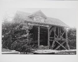 Apple Show, Sebastopol, California