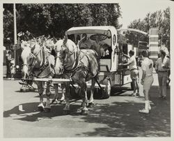 Customized carriage at the Sonoma County Fair, Santa Rosa, California